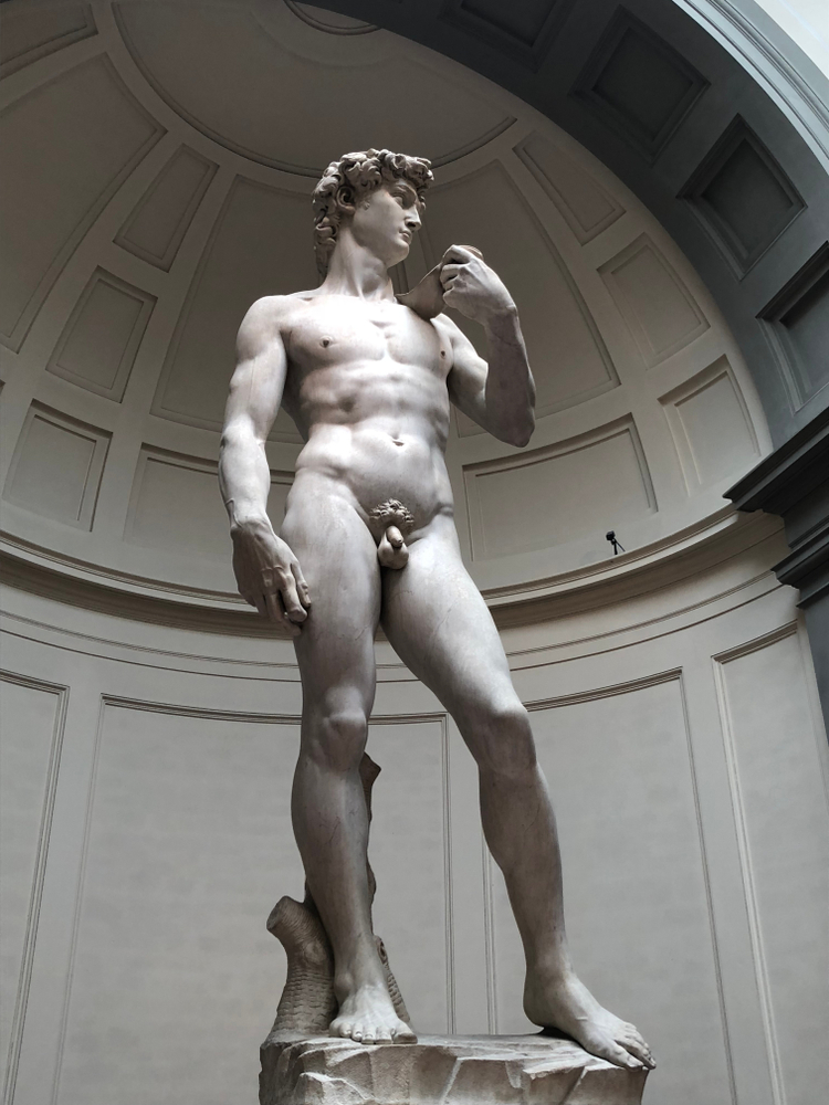 Visit the accademia gallery to see Michaelangelo's David